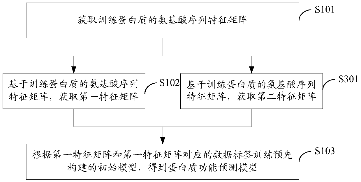 Protein function prediction model generation, protein function prediction method and device