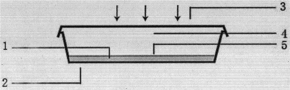 Reproduction method of isoetes yunguiensis