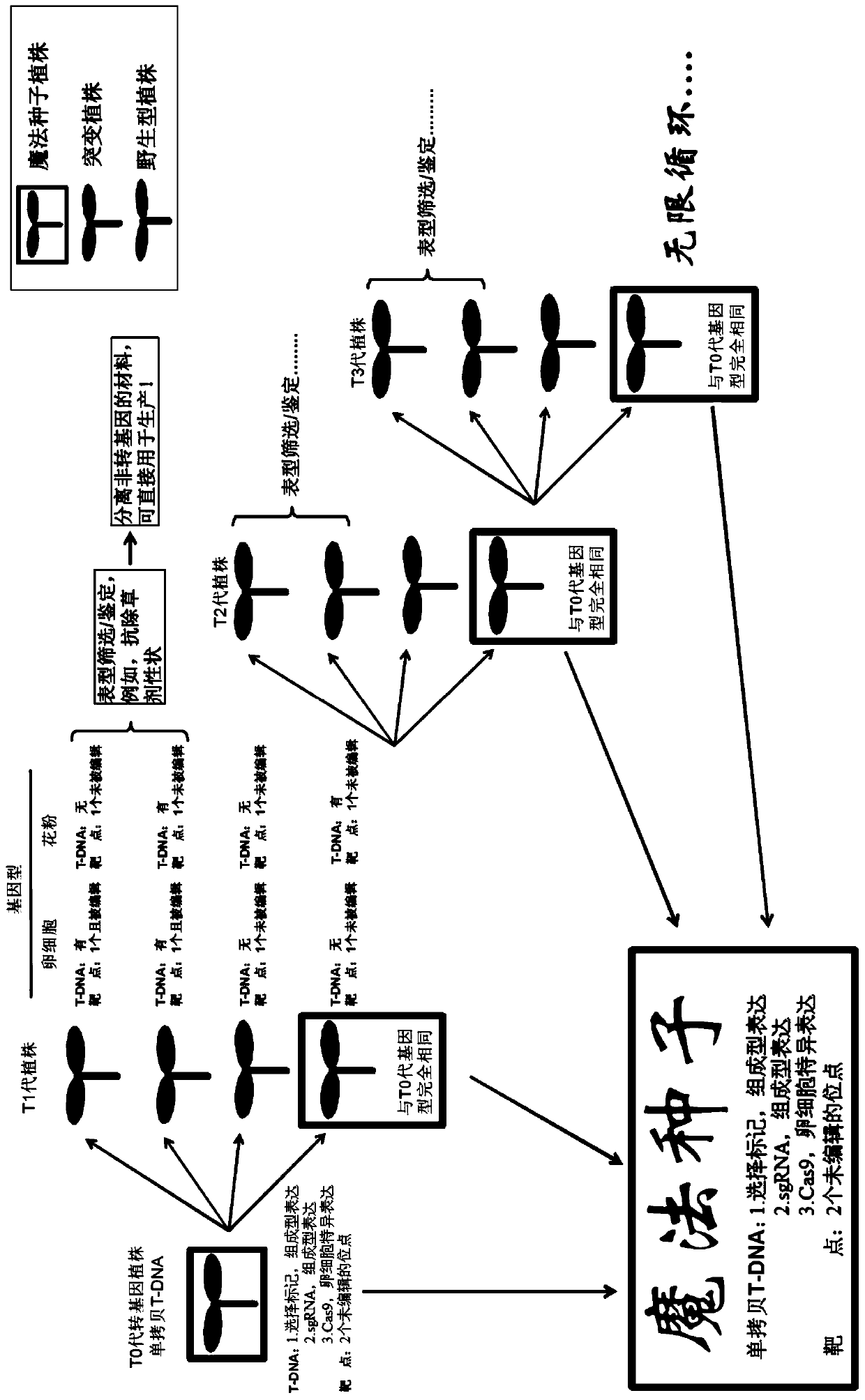 Method for constructing biological mutant library