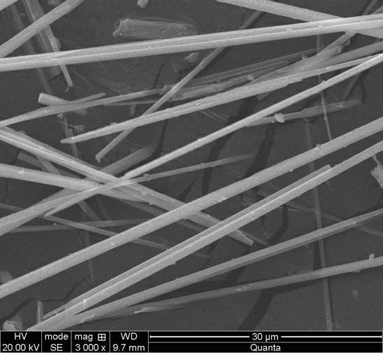 Process for preparing calcium sulfate crystal whisker by desulfurized gypsum as well as calcium sulfate crystal whisker