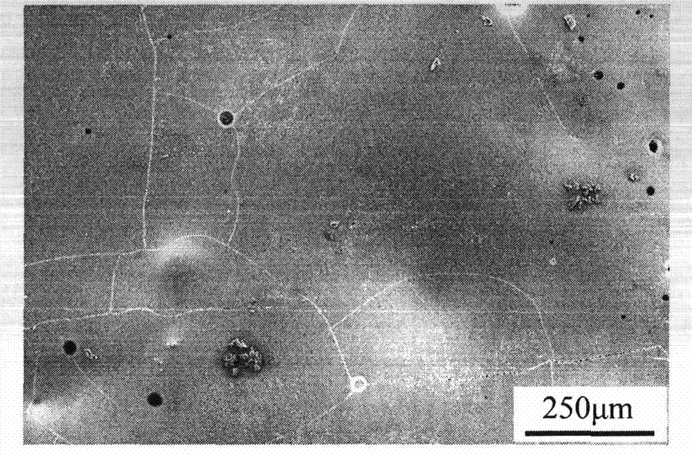 Method for preparing environment barrier coating at low temperature