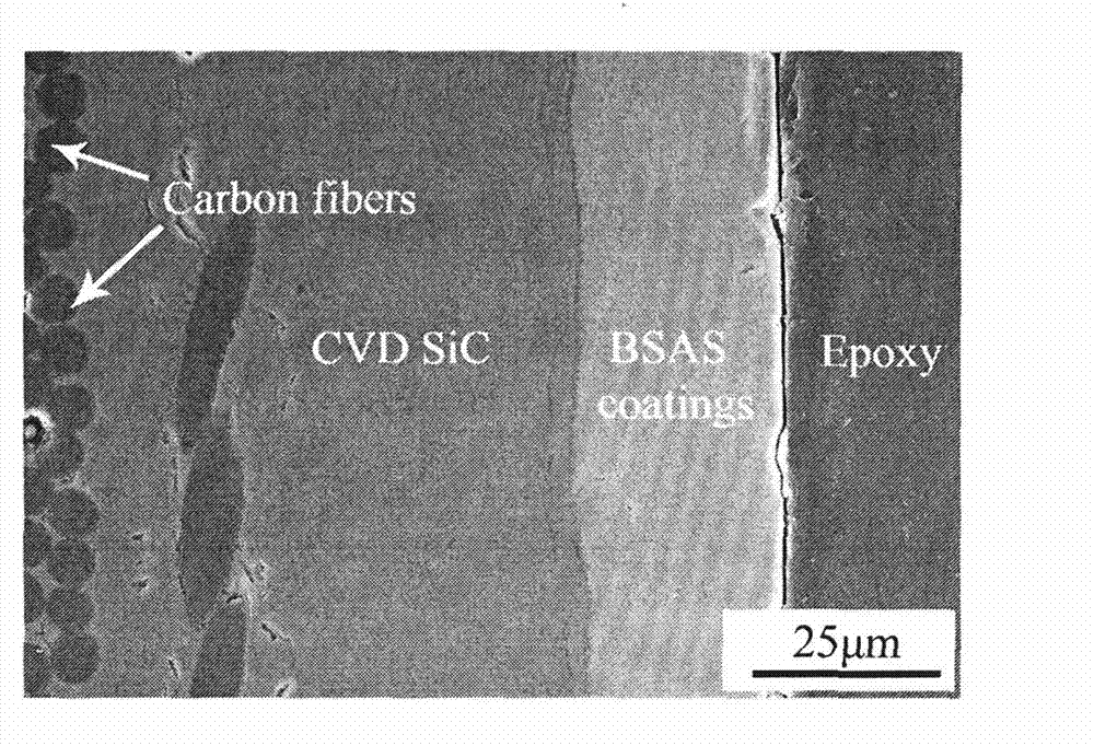 Method for preparing environment barrier coating at low temperature