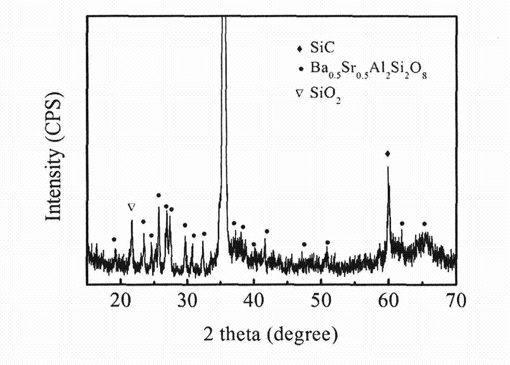 Method for preparing environment barrier coating at low temperature