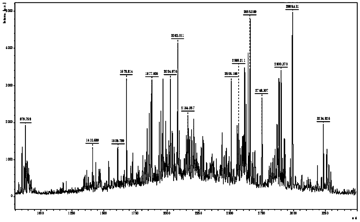 A kind of enzymatic hydrolysis method of sea bass by-product and its application in emulsion products