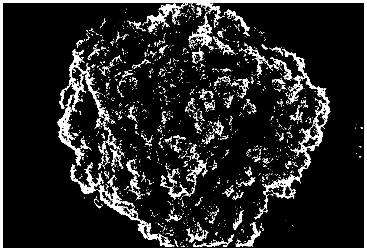 Nano copper based two dimensional sheet shape cerium oxide nano material and synthesis method and applications thereof