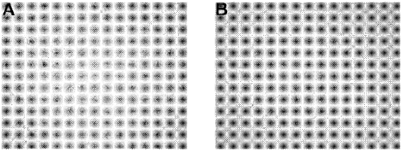 Preparation method and application of EV71 type full length infectious clone with luciferase tag