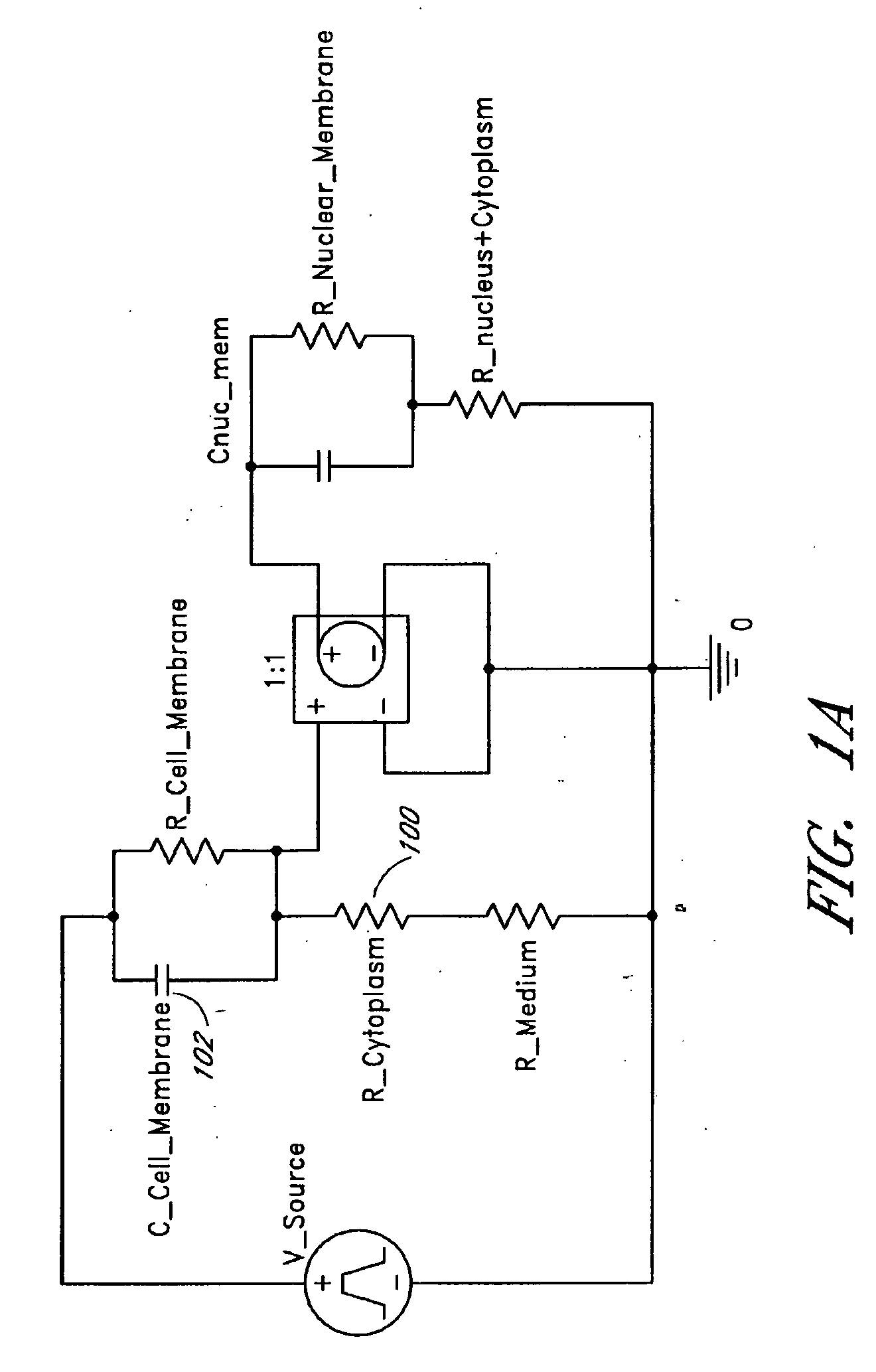 Method for intracellular modifications within living cells using pulsed electric fields