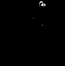 A method of exogenous ga3 inducing rose flowering