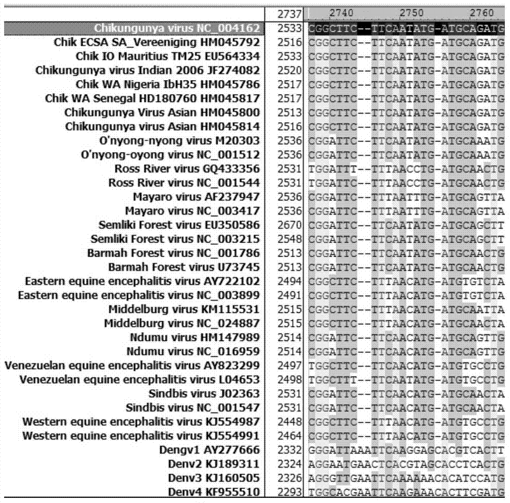 Kit and detection method for inverse transcription PCR detection of chikungunya virus