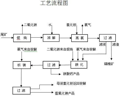 Method of preparing magnesium hydroxide and calcium carbonate and separating out phosphorus ores by taking phosphate tailings as raw materials through ammonia circulation process