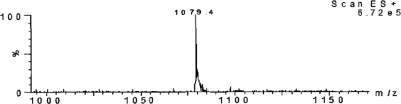 MAGE (Melanoma Antigen Gene)-4 anti-tumor CTL (Cytotoxic T Lymphocyte) epitope peptide and application thereof