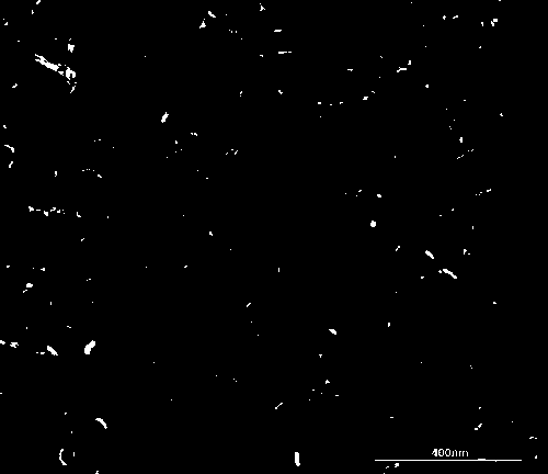 Carbon nano tube conductive agent sizing for negative electrode material of lithium ion battery and preparation method thereof