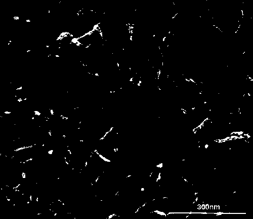 Carbon nano tube conductive agent sizing for negative electrode material of lithium ion battery and preparation method thereof