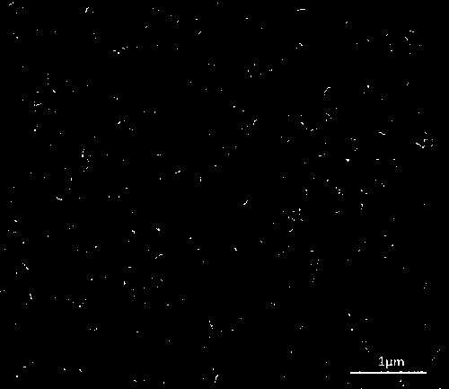 Carbon nano tube conductive agent sizing for negative electrode material of lithium ion battery and preparation method thereof