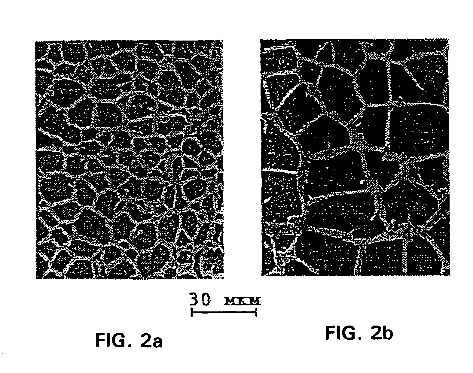 Multifunctional biocompatible hydrophilic gel and the method of gel manufacture