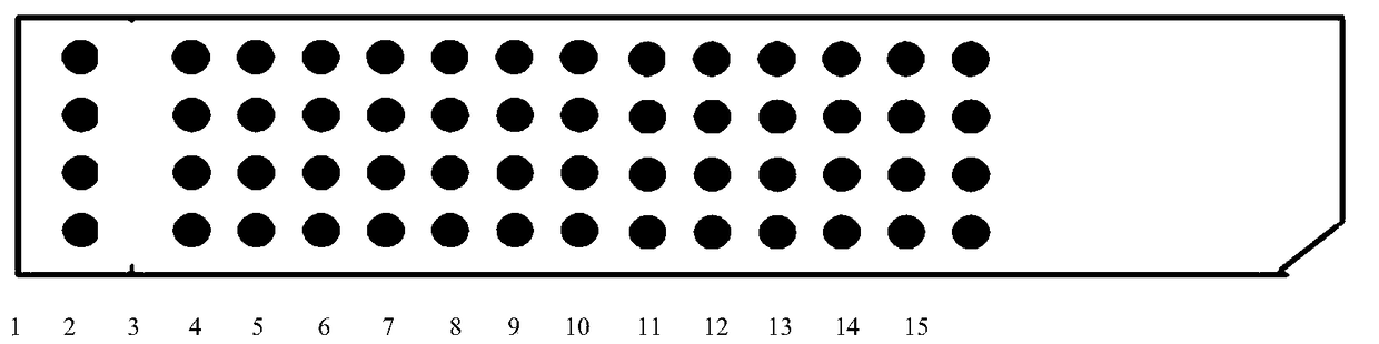 Protein chip for detecting autoimmune disease markers and preparation method thereof