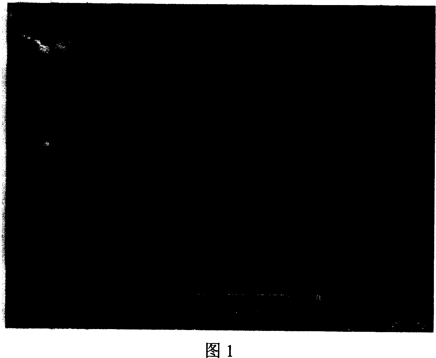 Channel augmentative method for fiber sphere separating medium