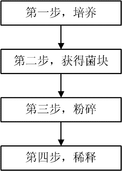 Production technology of edible mushroom liquid spawn by adopting reducing process