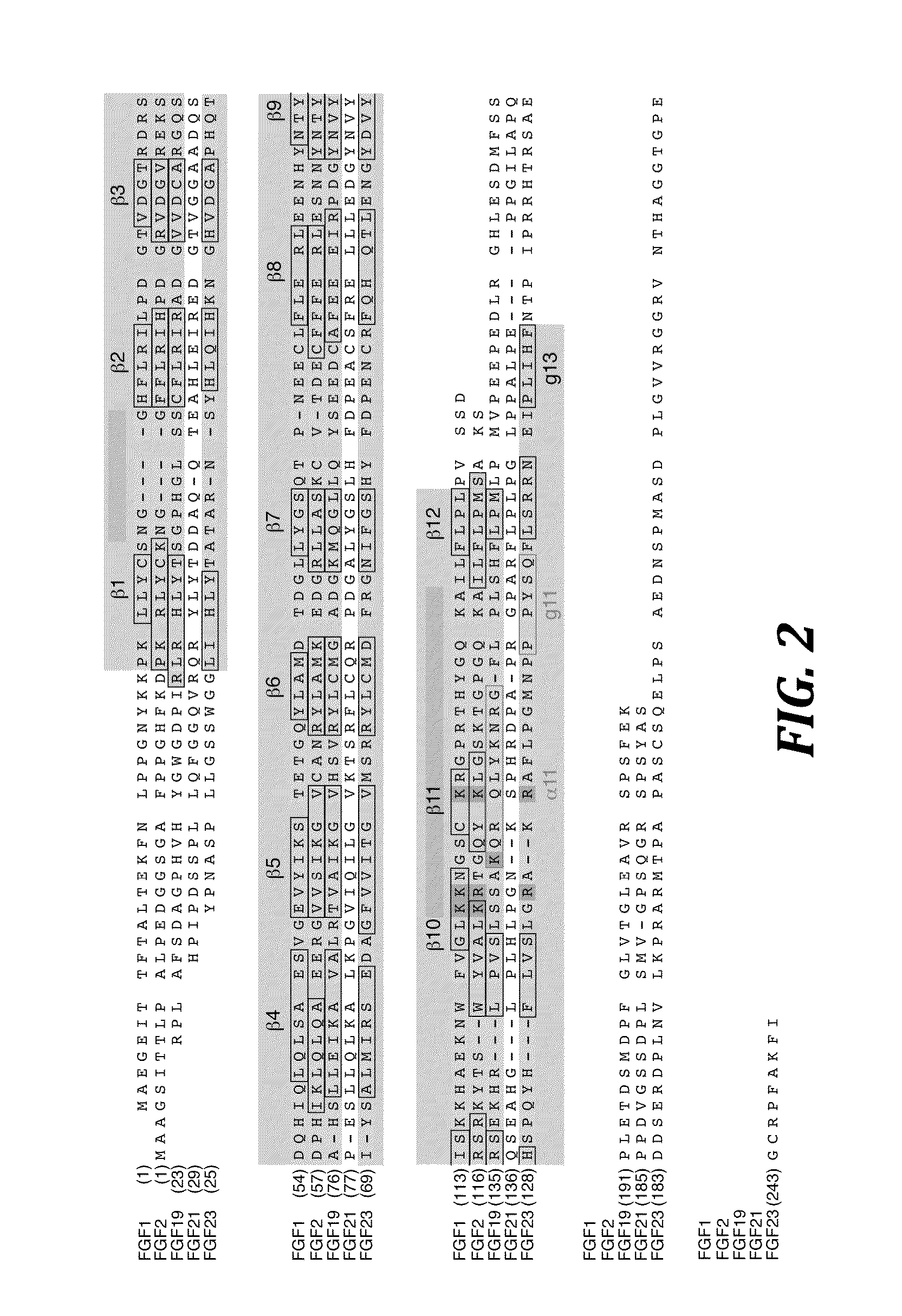 Chimeric fibroblast growth factor 19 proteins and methods of use