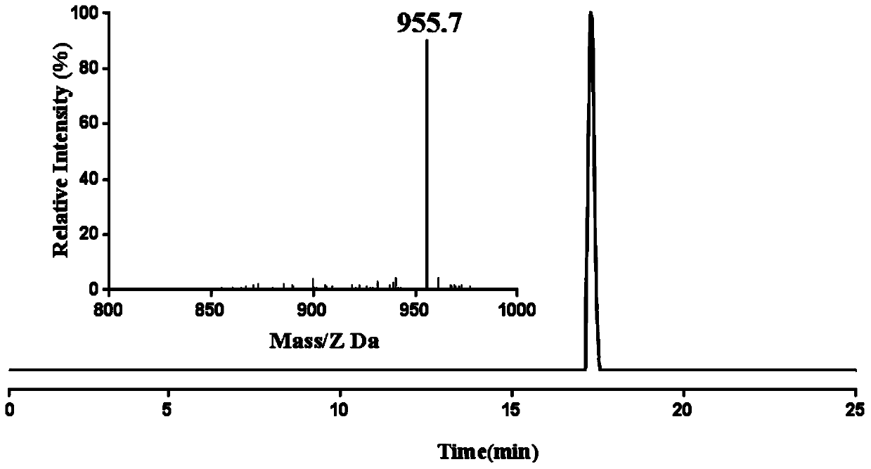 A kind of multifunctional targeting molecule and its use