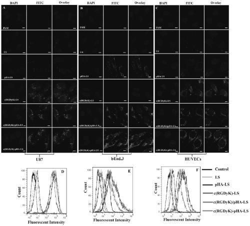 A kind of multifunctional targeting molecule and its use