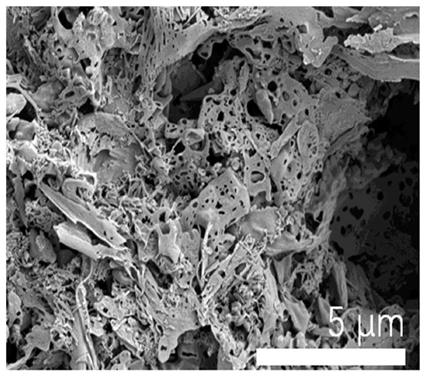 Mesoporous graphite-like phase carbon nitride material as well as preparation method and application thereof