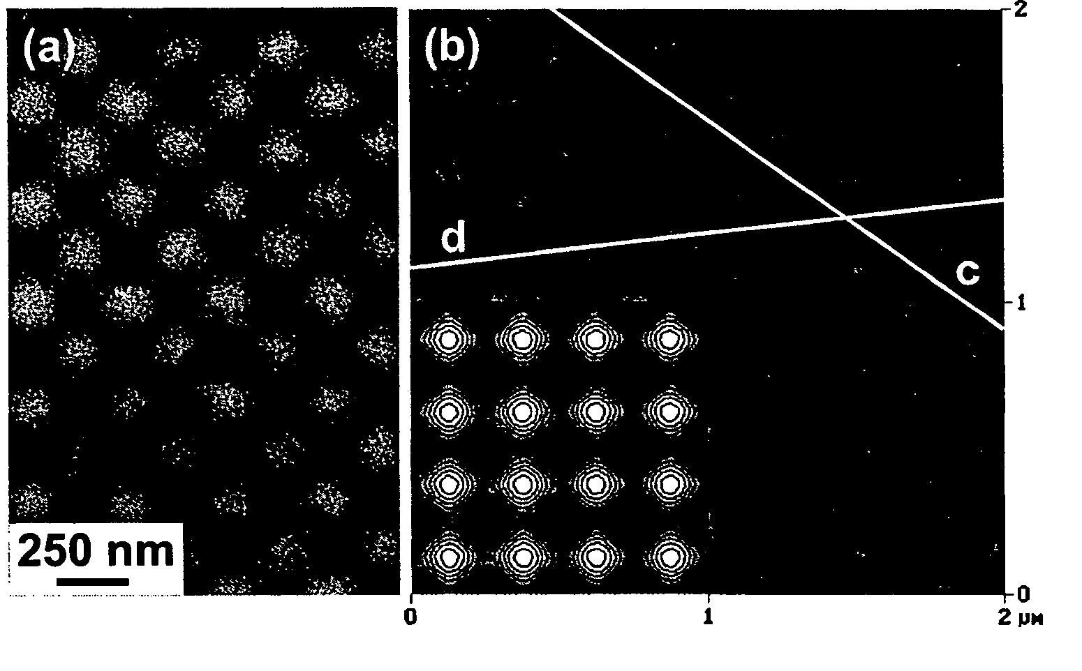 Fabrication method for arranging ultra-fine particles