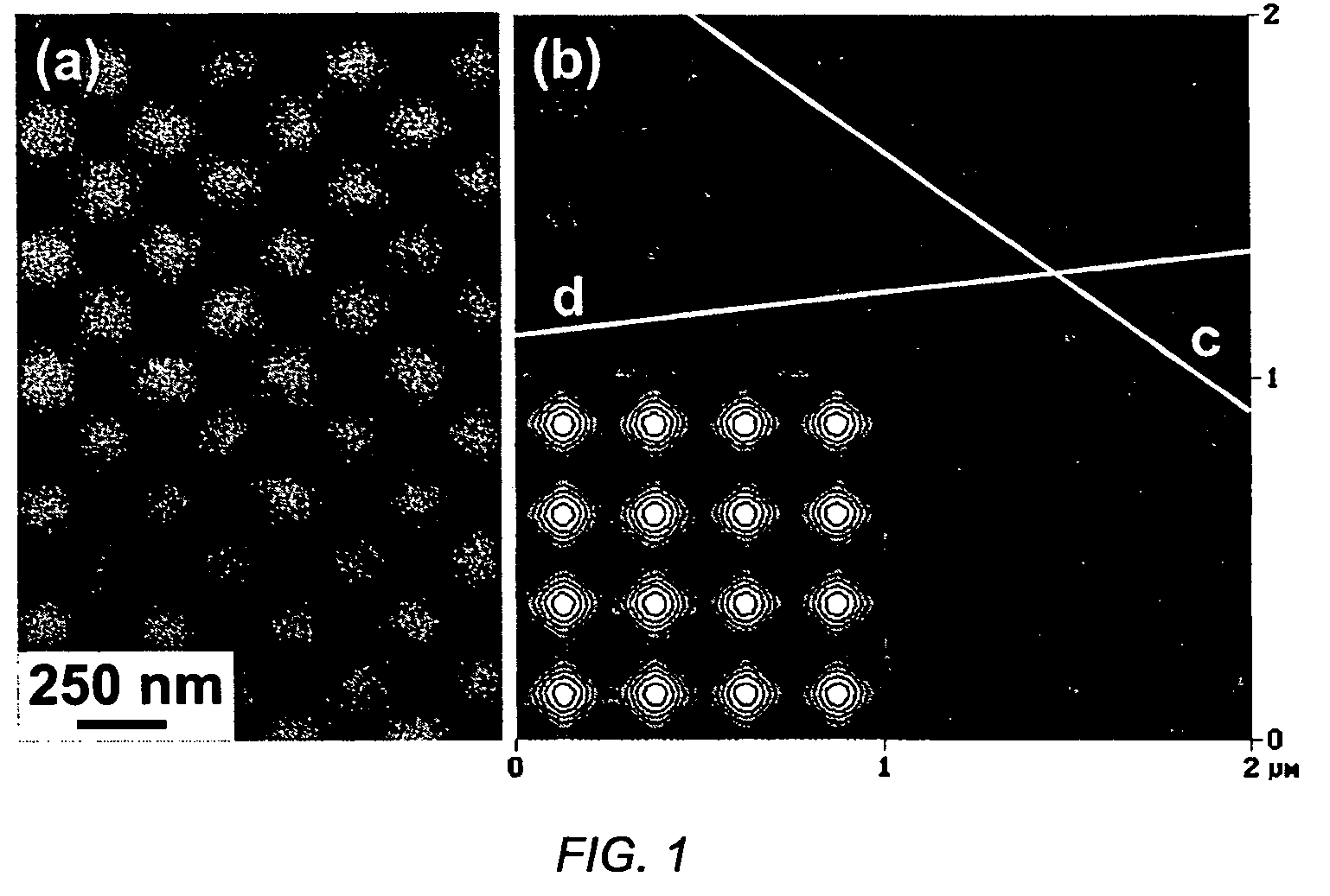 Fabrication method for arranging ultra-fine particles