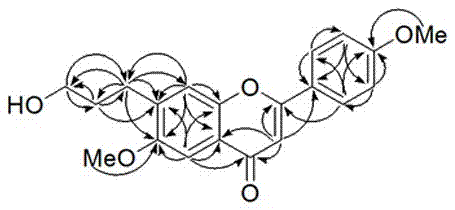 Flavonoid compound, and preparation method and application of flavonoid compound