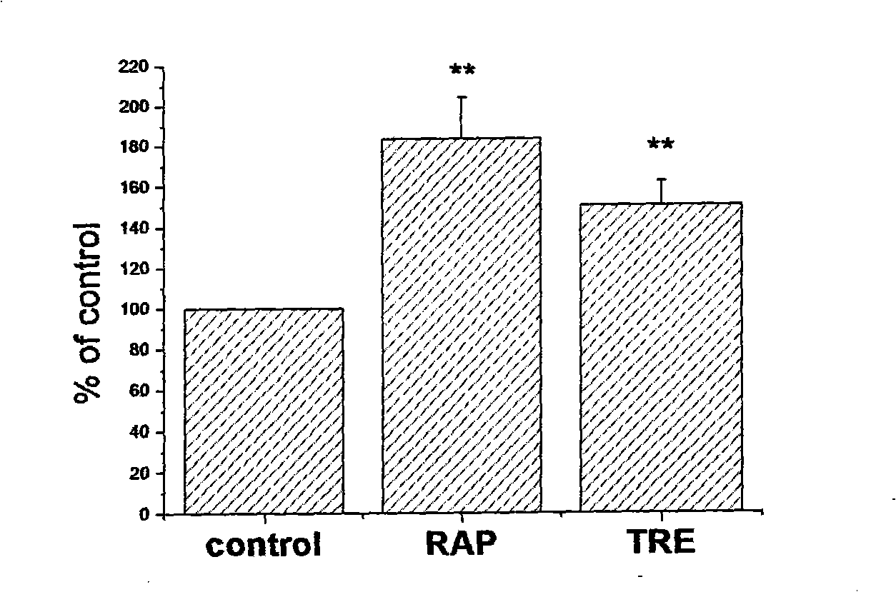 Method for enhance transport capability of gene mediated by non-viral vector