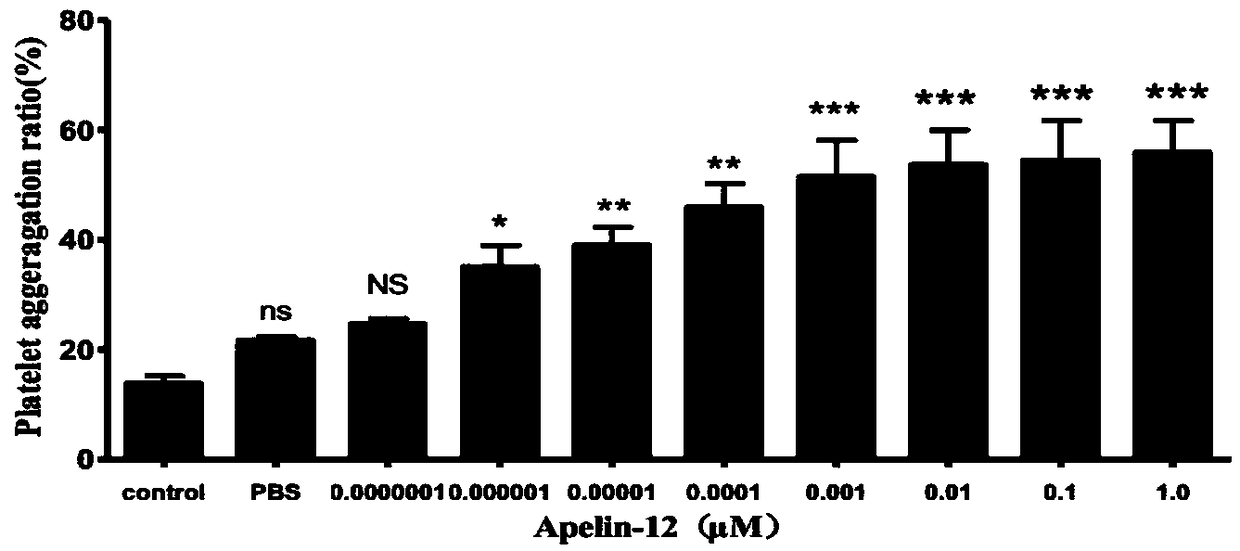 Pharmaceutical composition containing Apelin-12 and application of pharmaceutical composition