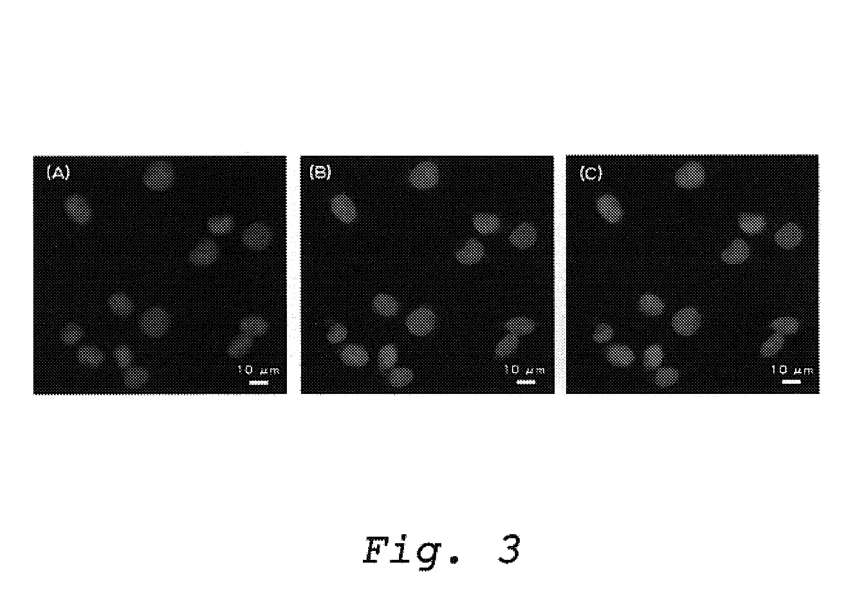 Method for efficiently determining a DNA strand break