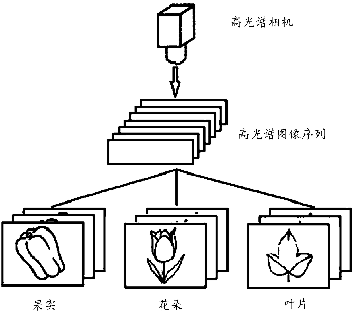 Information regulation and control method, device and system