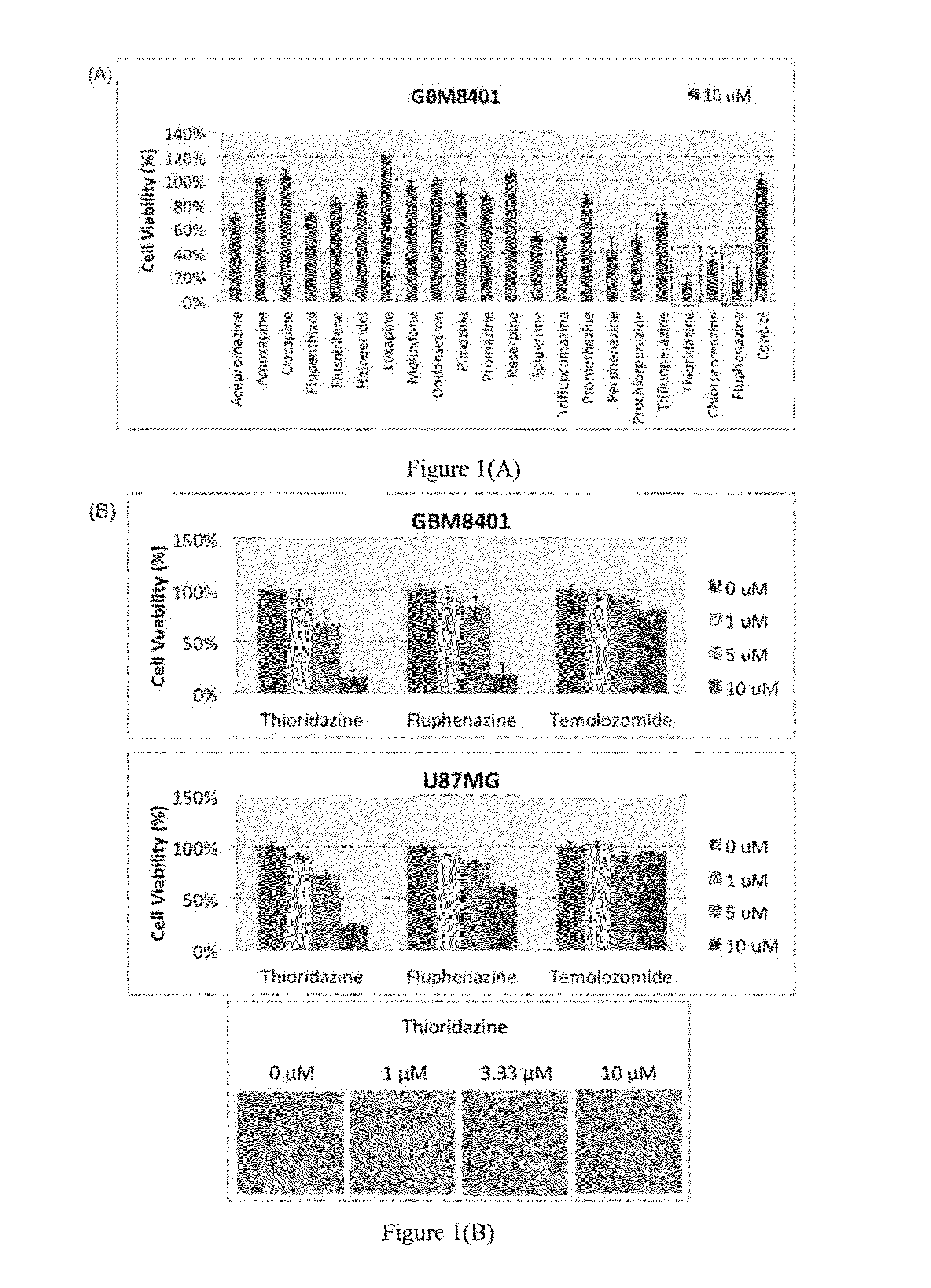 Method for treating brain tumor