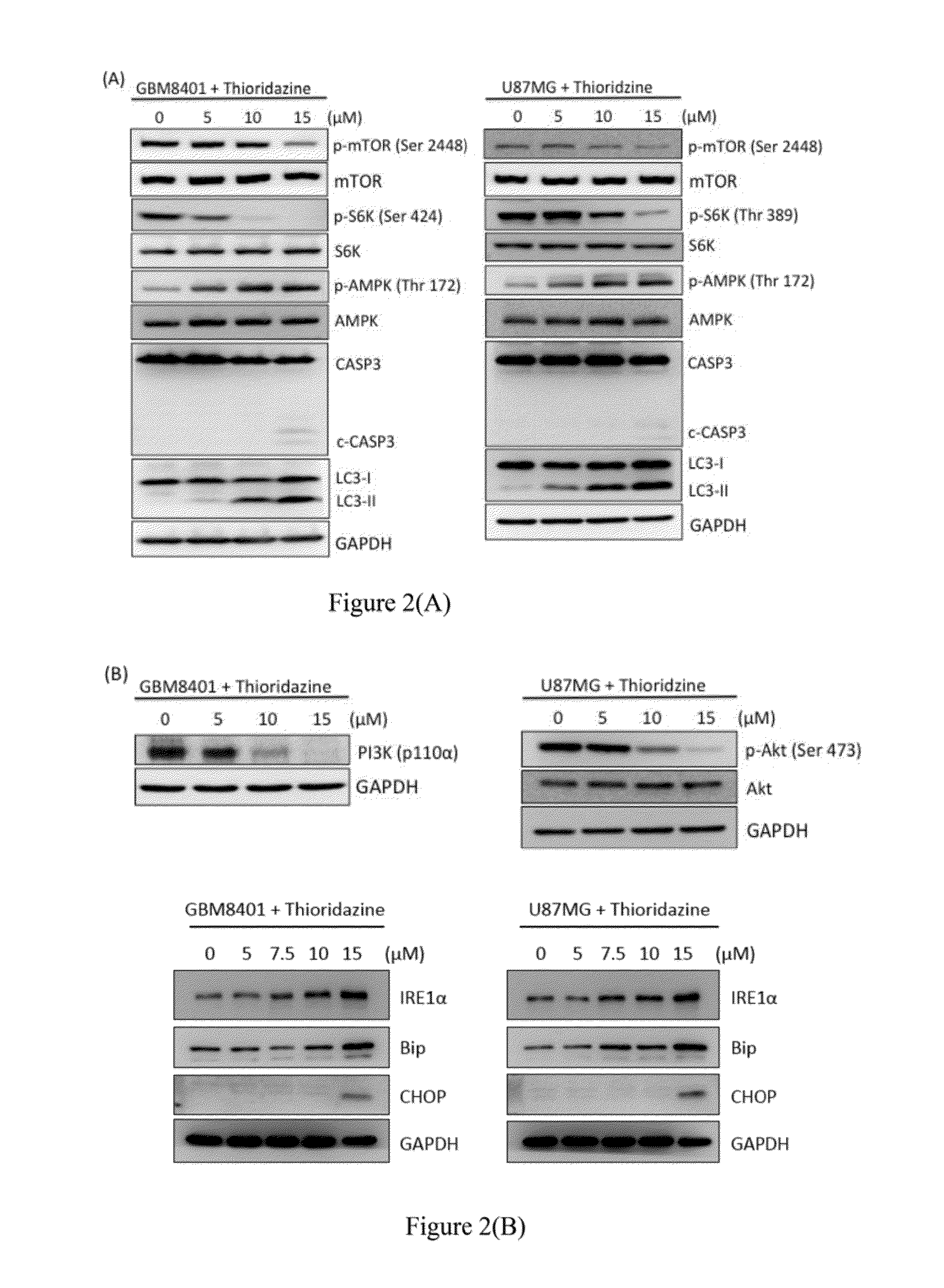 Method for treating brain tumor