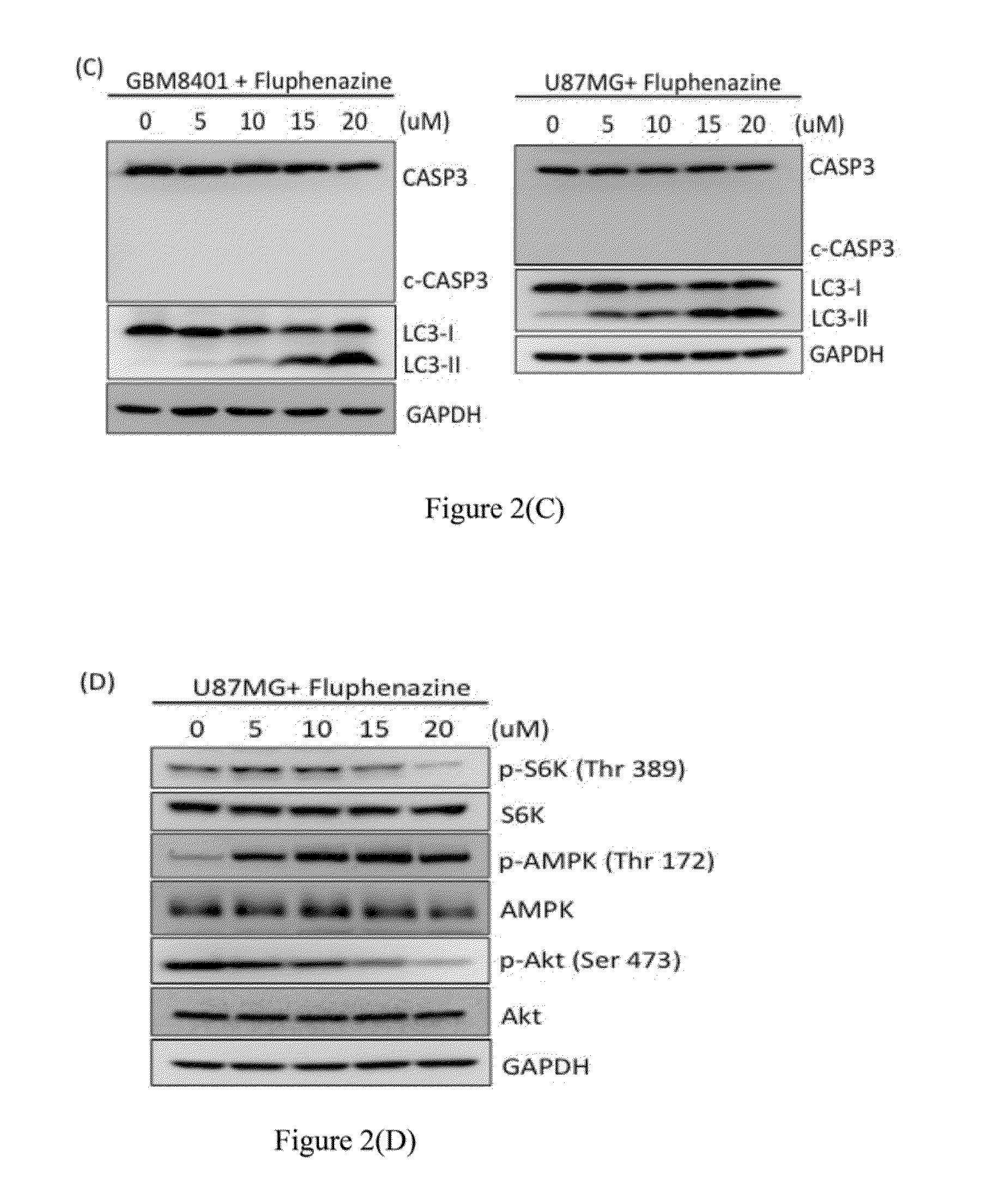 Method for treating brain tumor