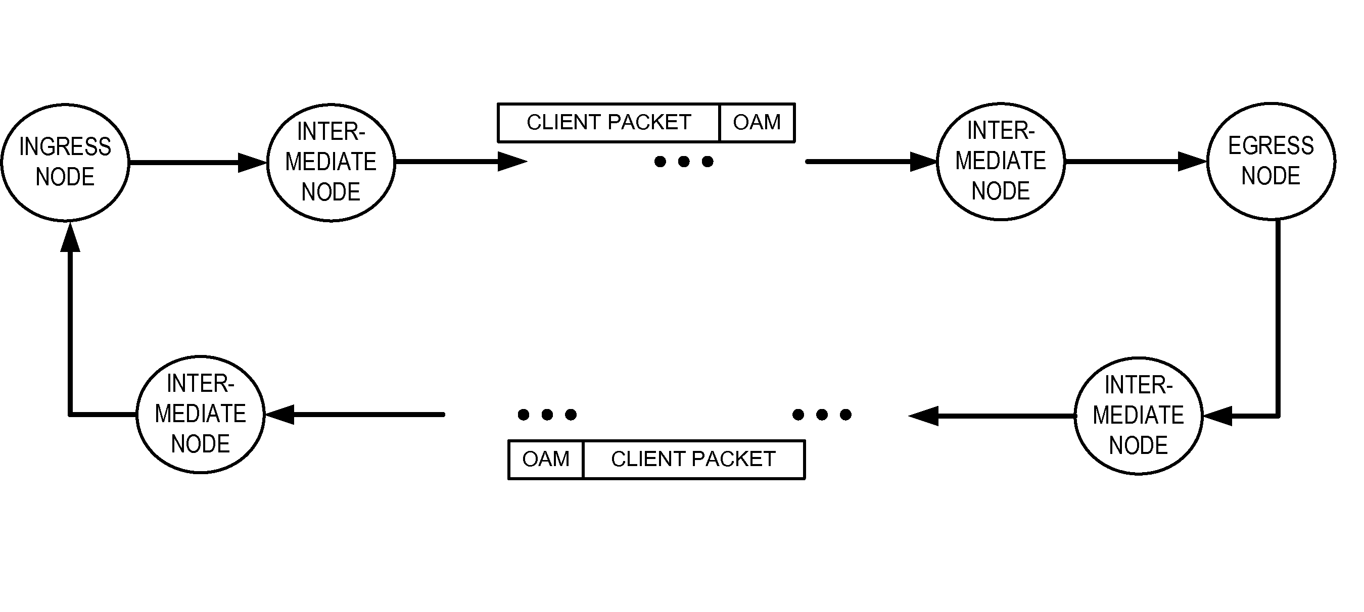 Operations, administration, and management fields for packet transport