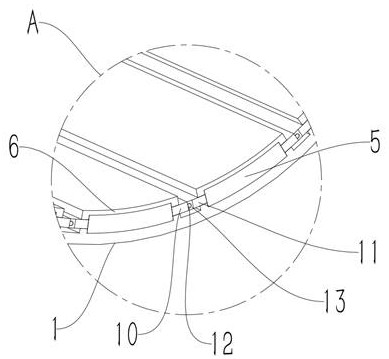 Tissue shielding type vaginal channel