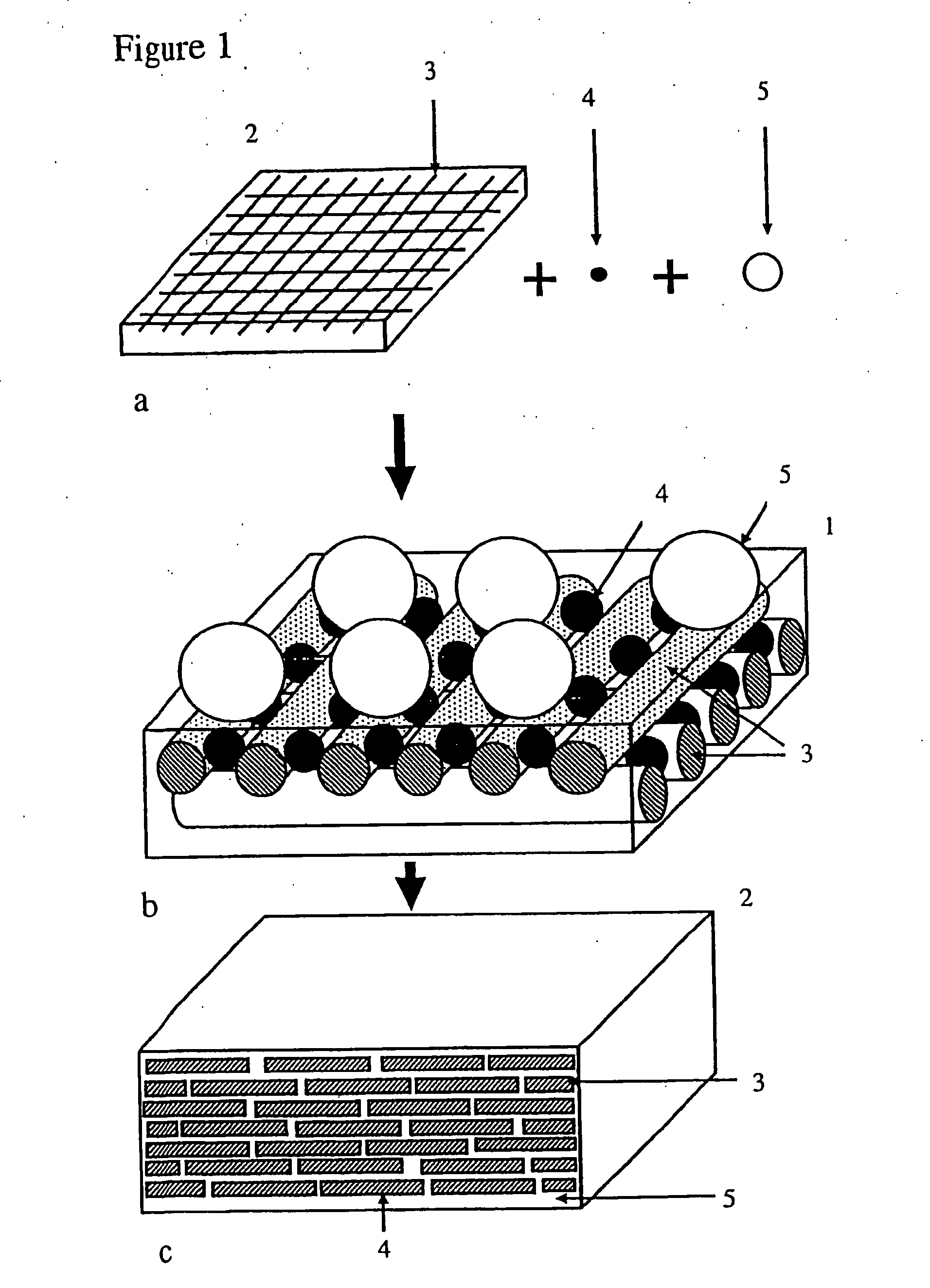 Biocomposite material