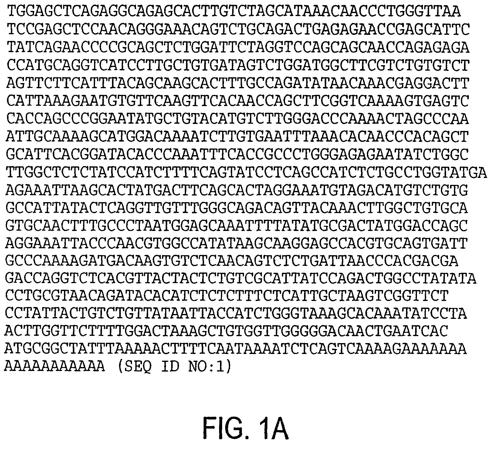 RTVP based compositions and methods for the treatment of prostate cancer