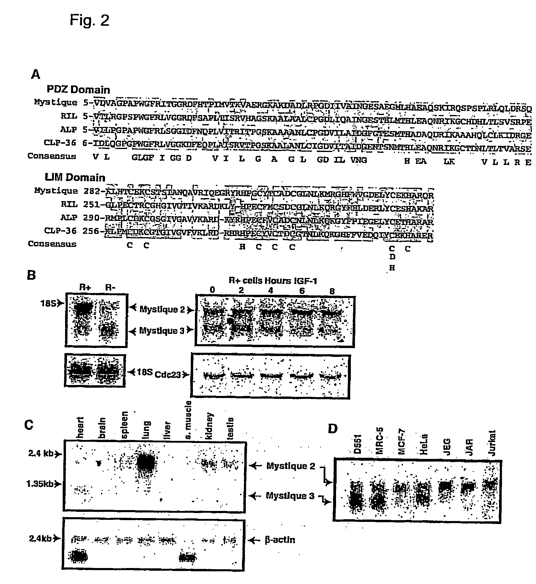 IGF-I responsive gene and use thereof