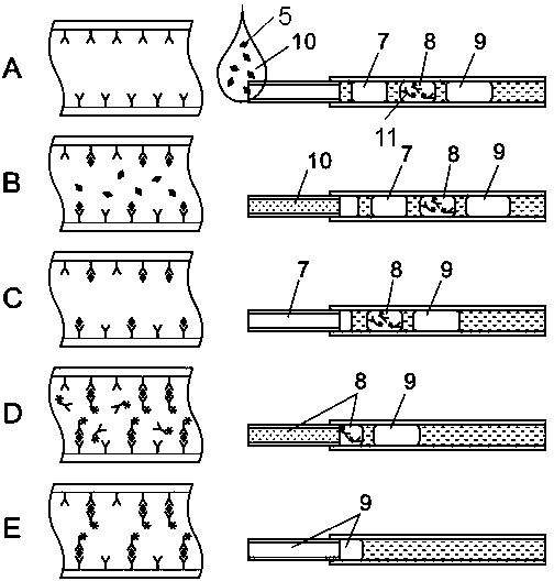 Automatic device for heterogeneous immunization rapid analysis and use method of automatic device