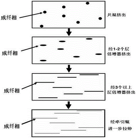 Composite in-situ fiber-forming reinforced polymer material and its preparation method and device