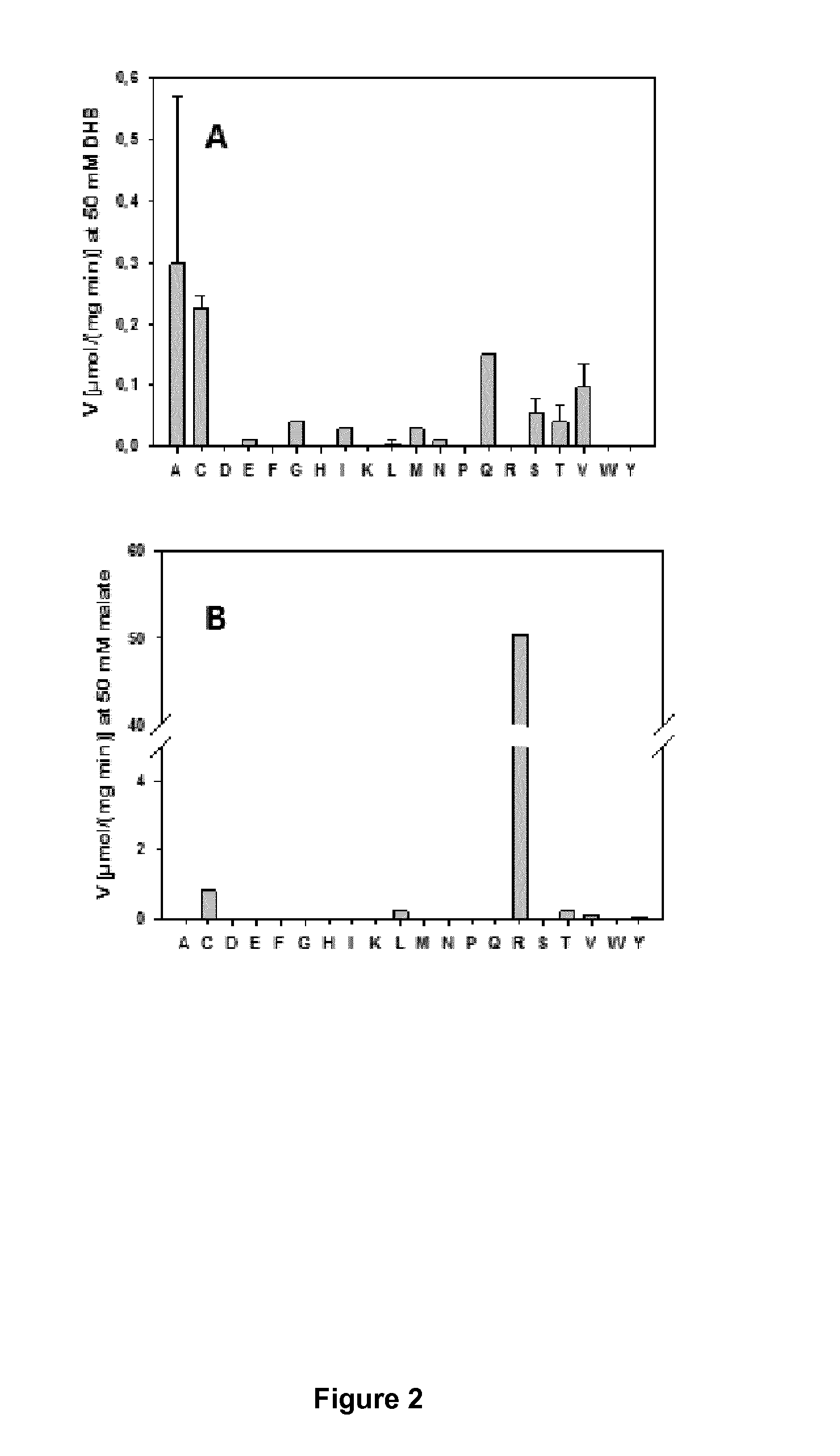 Microorganism modified for the production of 1,3-propanediol