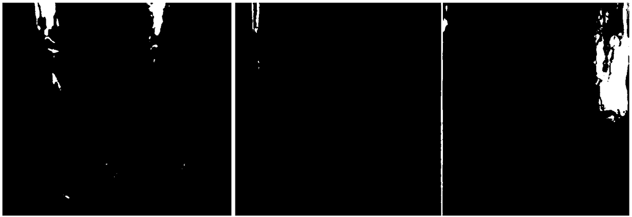 Method for obtaining virus-free sweet potato seedlings through high-temperature-variable temperature processing