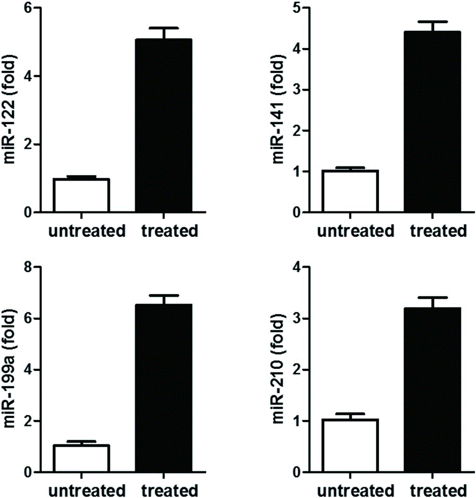 Mesenchymal stem cells combined with traditional Chinese medicines for activating amplification and preparation method and application of mesenchymal stem cells