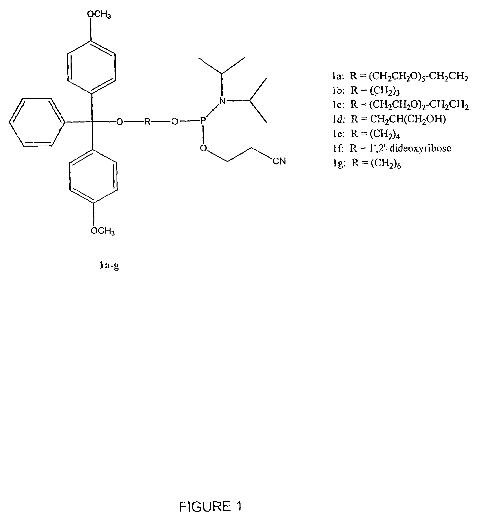 Chimeric immunomodulatory compounds and methods of using the same—III