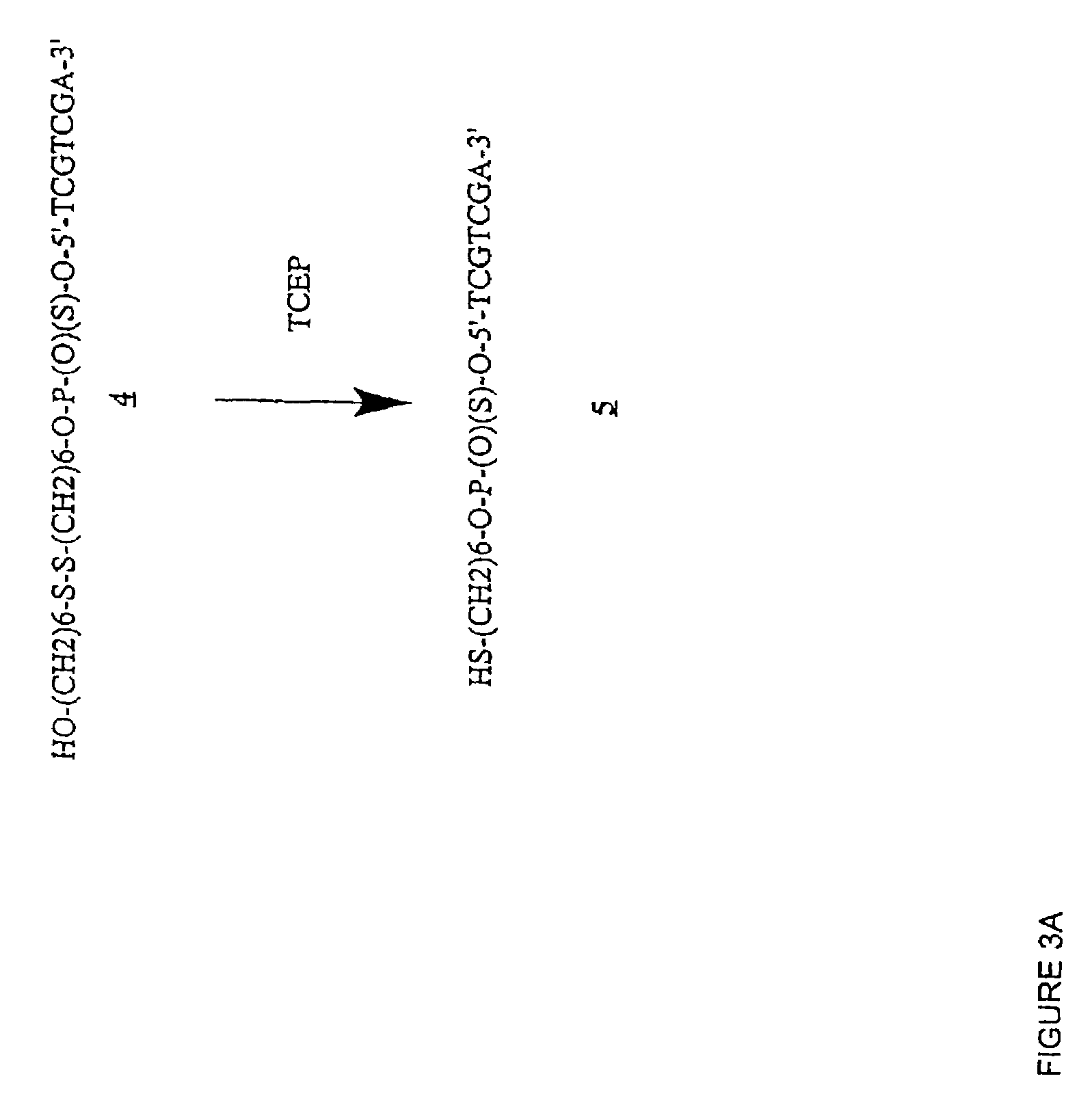 Chimeric immunomodulatory compounds and methods of using the same—III