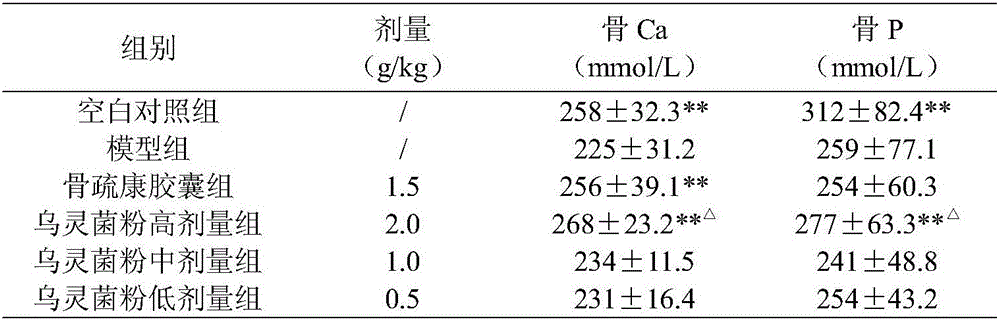 Application of xylaria nigriper powder to preparation of medicines or healthcare food for preventing and treating osteoporosis and osteonecrosis