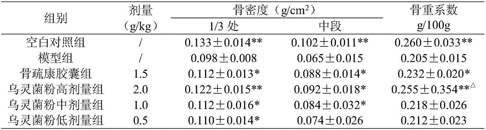 Application of xylaria nigriper powder to preparation of medicines or healthcare food for preventing and treating osteoporosis and osteonecrosis